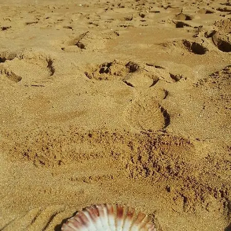 Quintal Casinha Romantica *