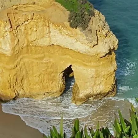 Quintal Casinha Romantica Daire